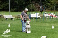 Rally Obedience Enger Welpentreff Enger Hundeschule B&uuml;nde Hundesportpark Welpentreff B&uuml;nde Hoopers B&uuml;nde Agility Enger (4)