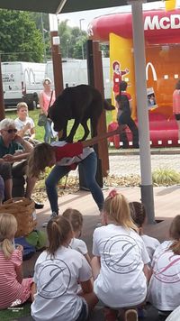 Trick Dog Seminare Svea Lehmann Hundesportpark B&uuml;nde Nicole Gudd150